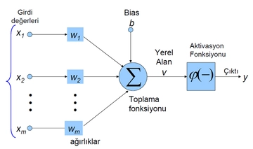 Yapay Sinir Ağları Nasıl Oluşur Yapay Sinir Ağları Nasıl Oluşur